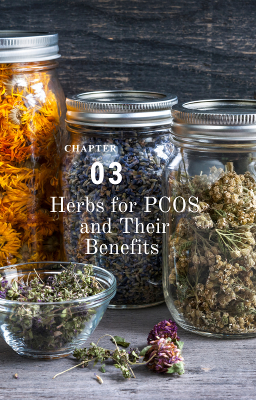 Herbal Healing for PCOS Ebook